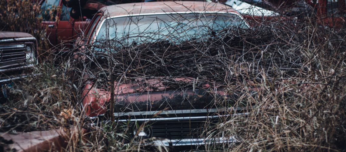old rusted cars and trucks
canon 50mm