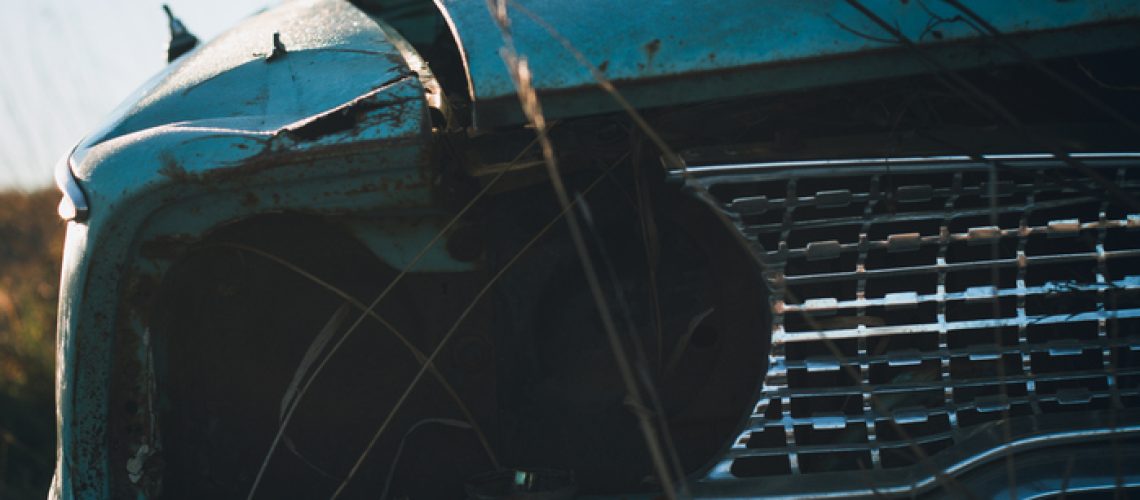 on the farm canon 50mm